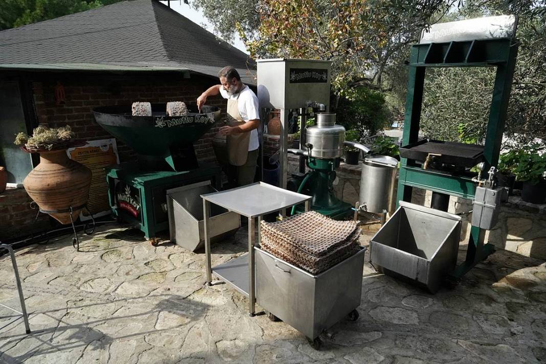 Taş devri yöntemiyle en kral zeytinyağını çıkarıyor! 11